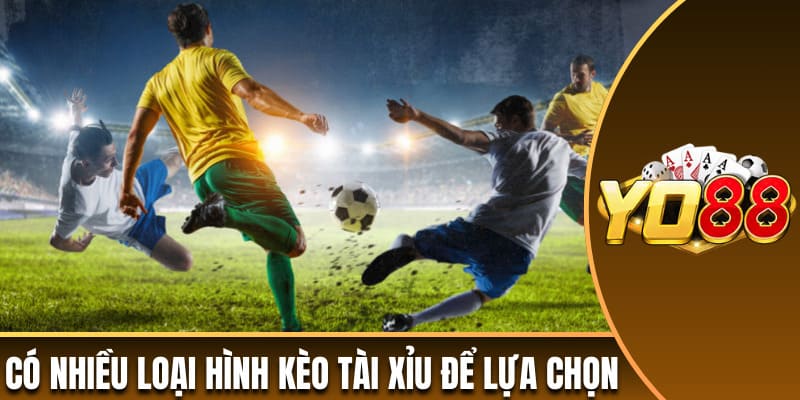 Có nhiều loại hình kèo tài xỉu để lựa chọn